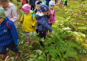 dzieci w lesie wśród paproci
